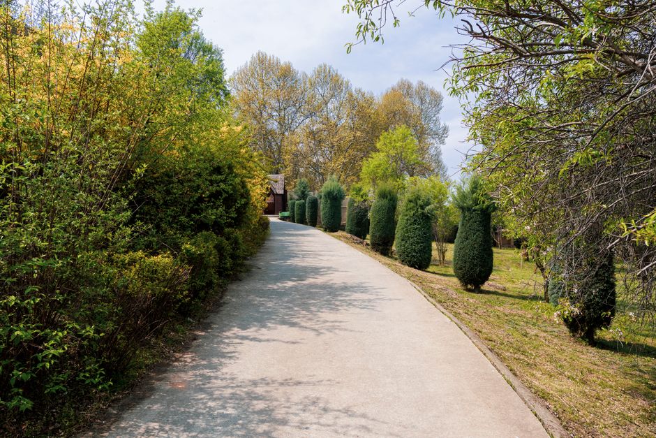 Zo pak je tuinonderhoud in Zoetermeer grondig aan